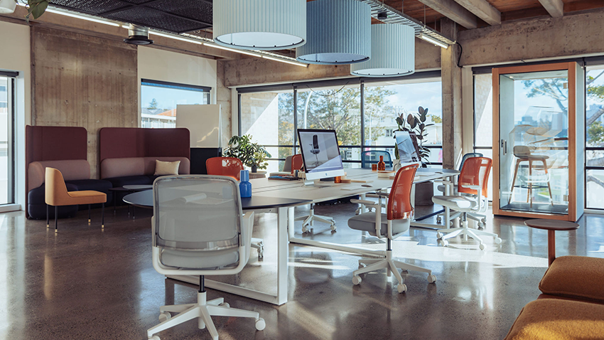 Denn makes its debut in New Zealand