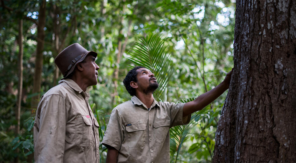 Timbers with a Story: Cooktown Silver Ash Timber