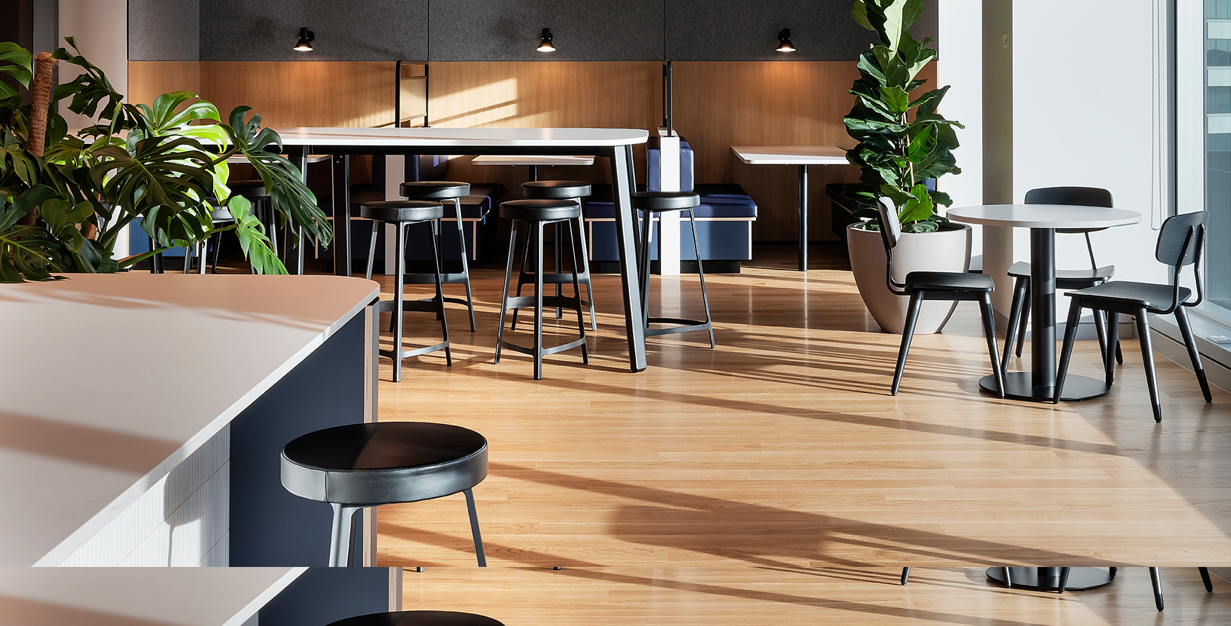 Global Insurance Company Auckland