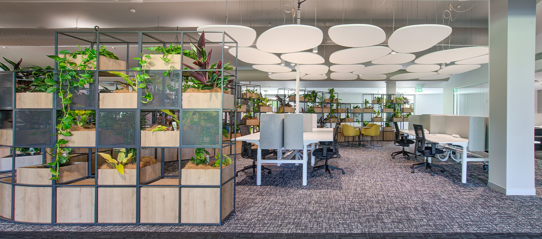 Southern Cross University Lismore