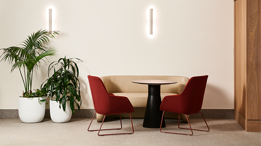 Experience the softer side of Jac