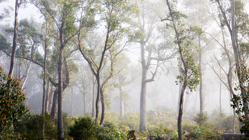 Local programs that are making a genuine difference