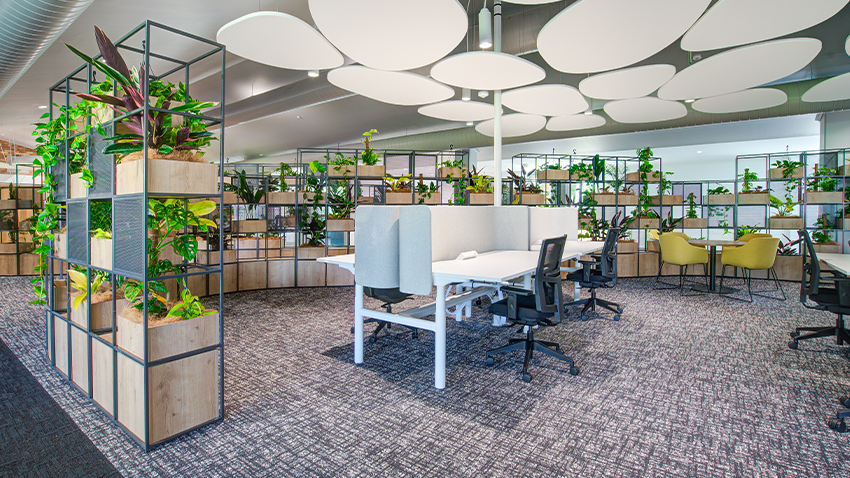 Case Study: Biophilic Bliss at Southern Cross University  Lismore
